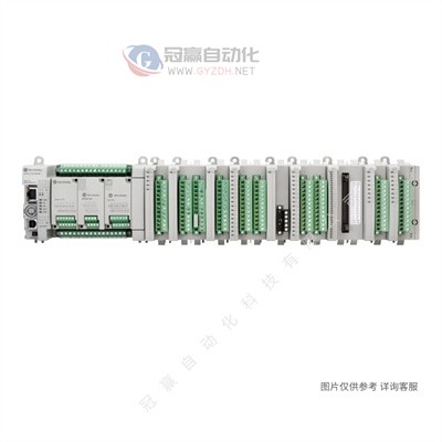 美国AB罗克韦尔_1734-IV2输入模块