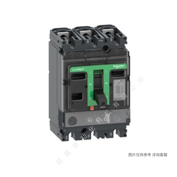 EZS100F3040ELA/Schneider/施耐德塑壳断路器